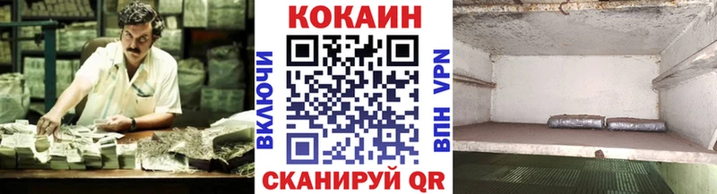 kraken вход  как найти   Каргополь  COCAIN Fish Scale 