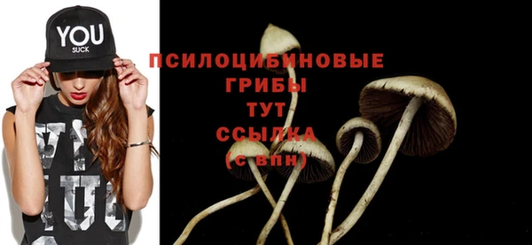 соль курить ск Иннополис