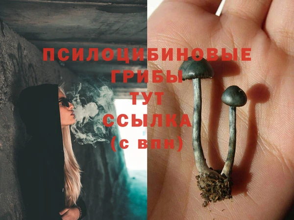 соль курить ск Иннополис