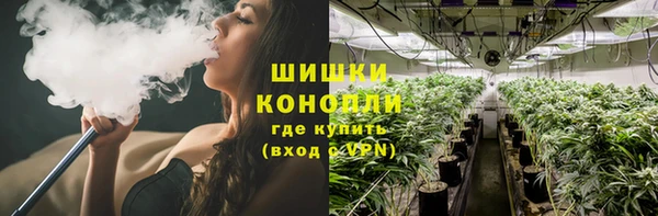 ешки Инта