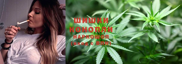 ешки Инта