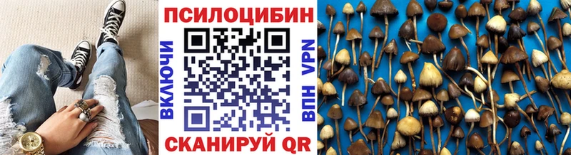 Галлюциногенные грибы прущие грибы shop телеграм Каргополь купить наркотик