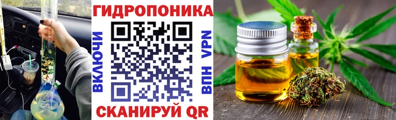 Бошки Шишки гибрид  Каргополь 